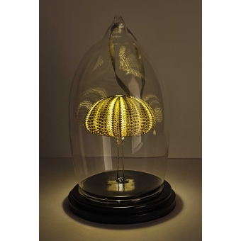 Verlicht Natuur Historische Decoratie. Zeeëgel